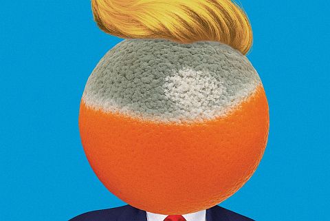 Illustration eines Mannes im dunklen Anzug mit roter Krawatte, dessen Kopf durch eine halb verschimmelte Orange mit blondem, charakteristisch gestyltem Haar ersetzt ist, vor blauem Hintergrund